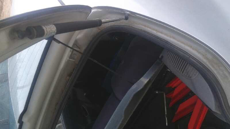 AMORTIGUADORES MALETERO / PORTON