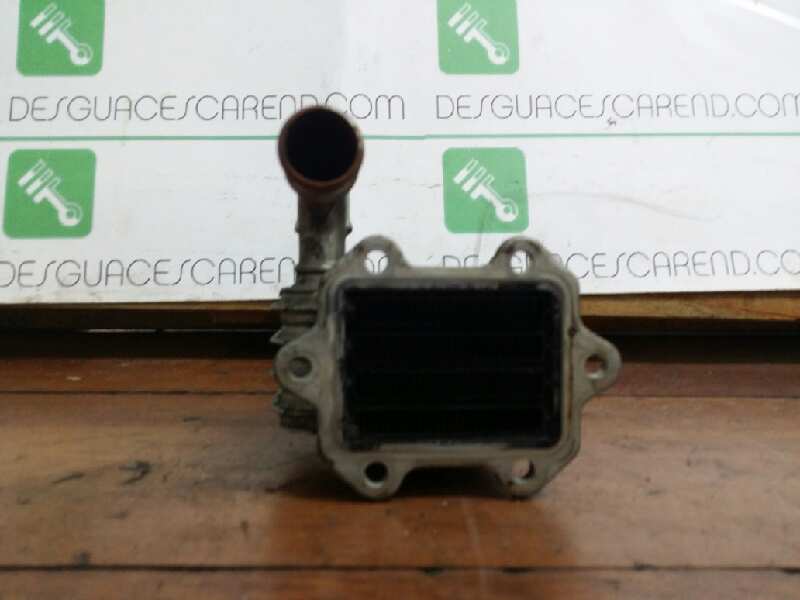 ENFRIADOR GASES 
