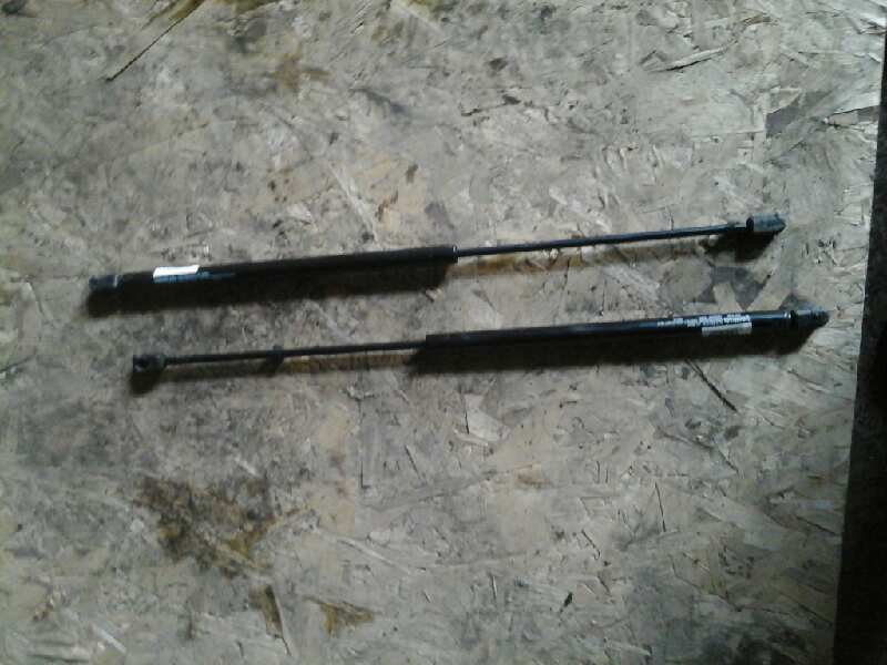 AMORTIGUADORES MALETERO / PORTON