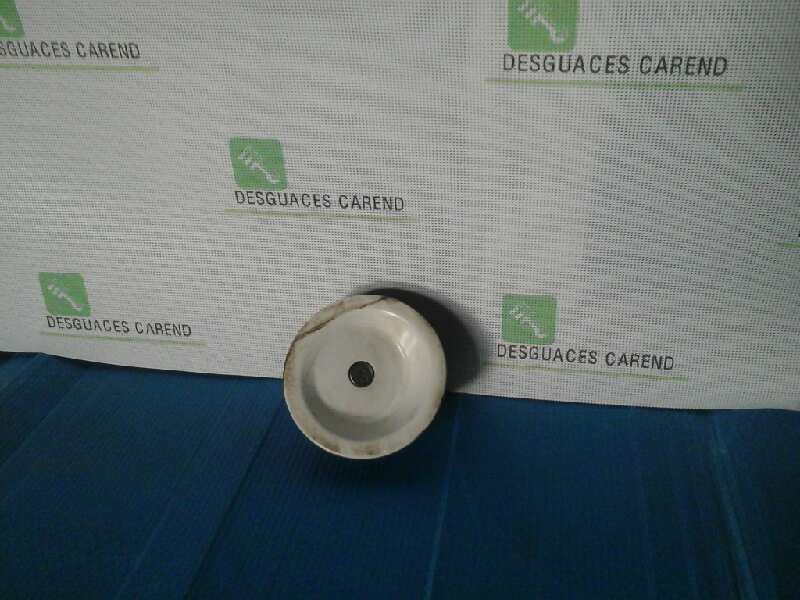 TAPON COMBUSTIBLE