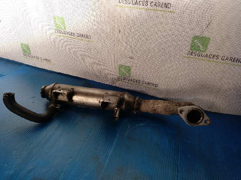 ENFRIADOR GASES 