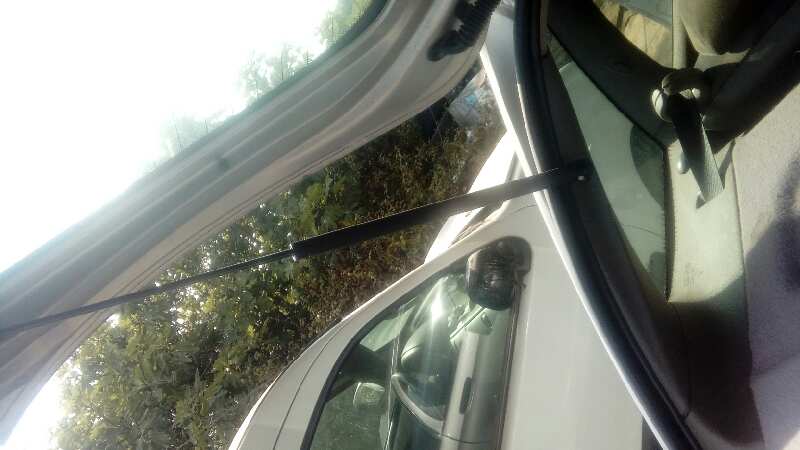 AMORTIGUADORES MALETERO / PORTON