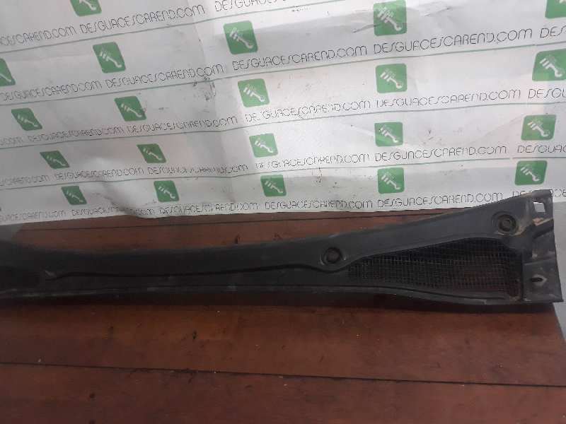 TORPEDO