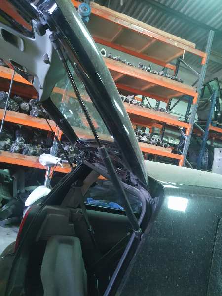 AMORTIGUADORES MALETERO - PORTON