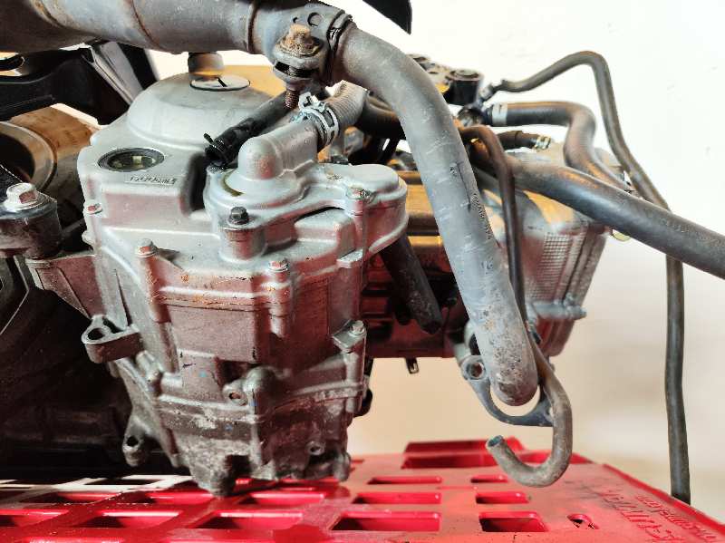 MOTOR COMPLETO