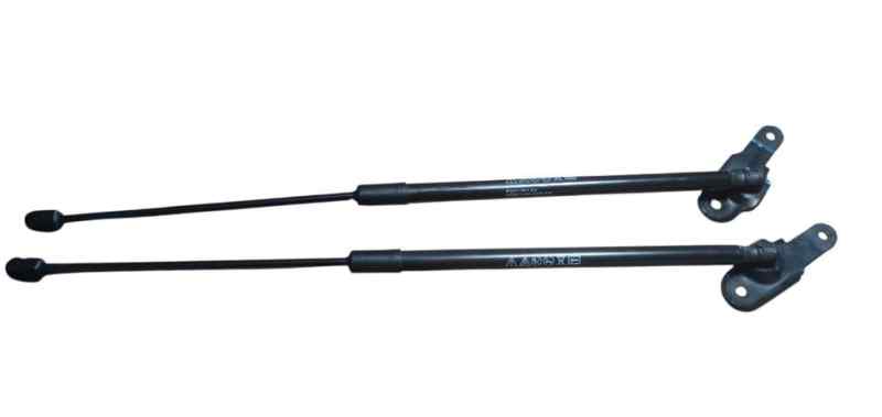 AMORTIGUADORES MALETERO - PORTON