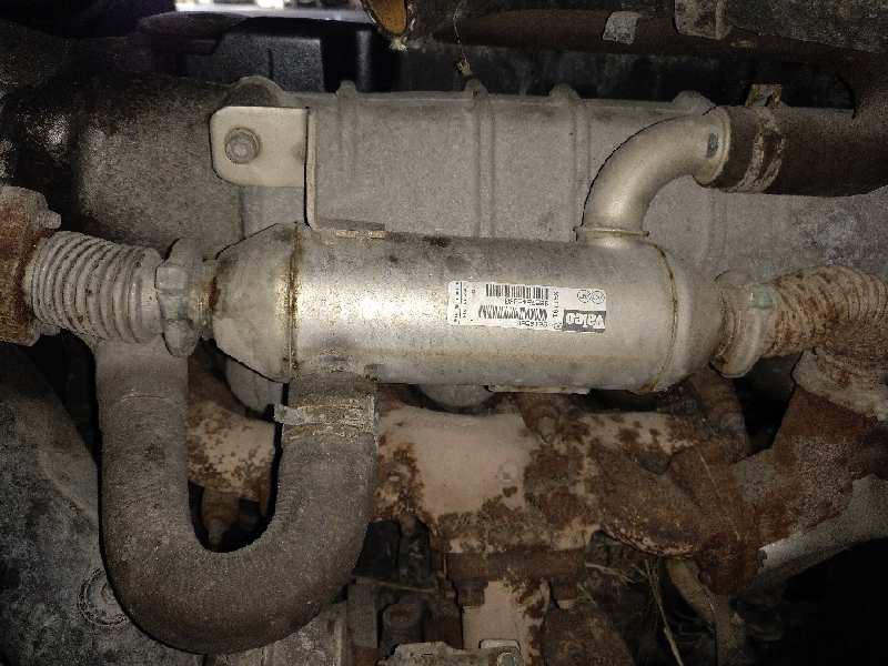 9627242880 ENFRIADOR GASES  CITROEN JUMPY