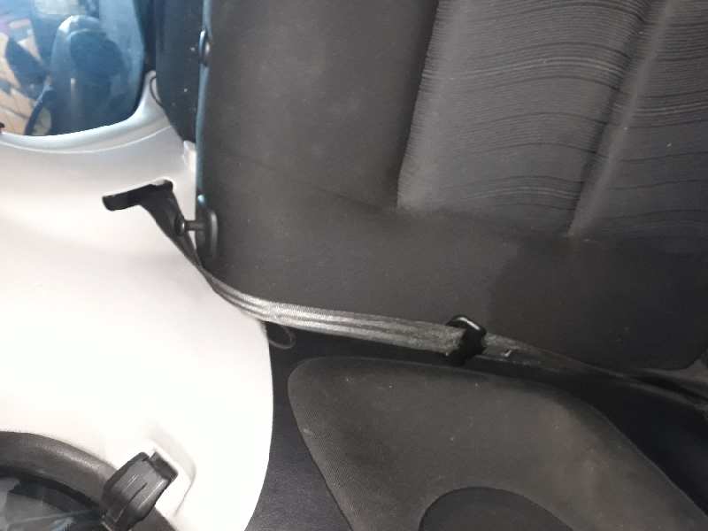 CINTURON SEGURIDAD TRASERO DERECHO
