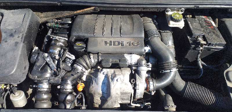 DESPIECE MOTOR