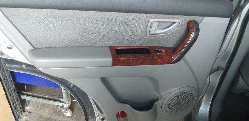GUARNECIDO PUERTA TRASERA IZQUIERDA