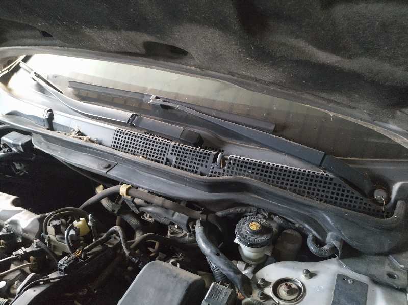 TORPEDO