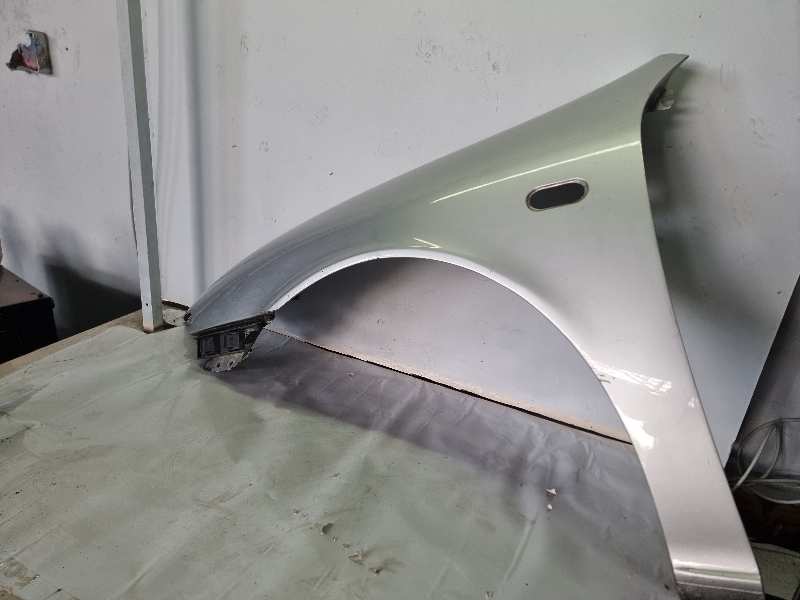 ALETA DELANTERA IZQUIERDA