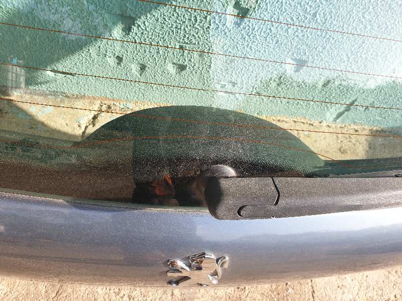 MOTOR LIMPIA TRASERO