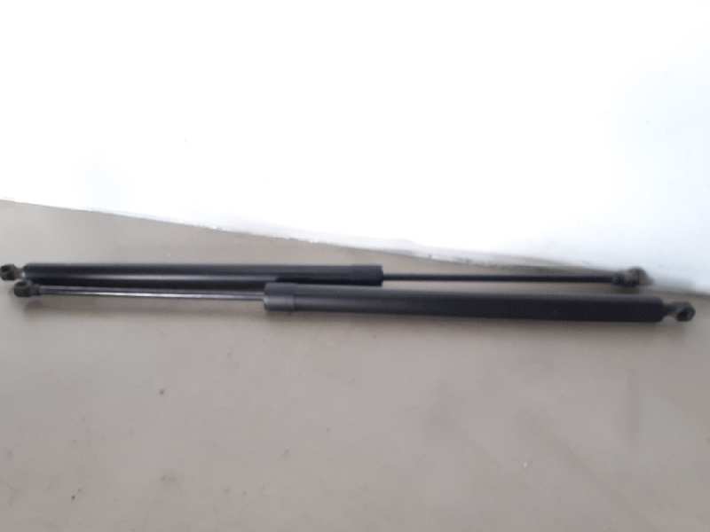 AMORTIGUADORES MALETERO - PORTON