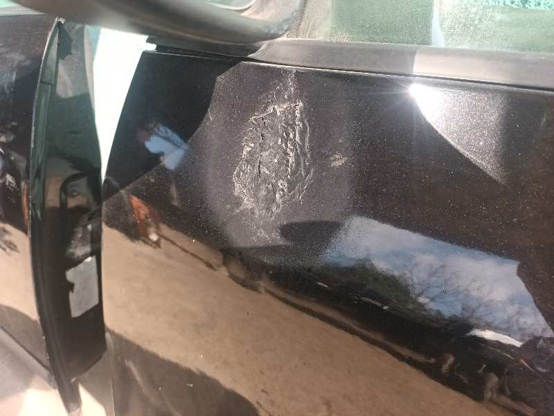 PUERTA DELANTERA IZQUIERDA