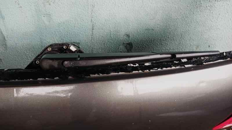 BRAZO LIMPIA TRASERO