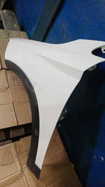 ALETA DELANTERA IZQUIERDA