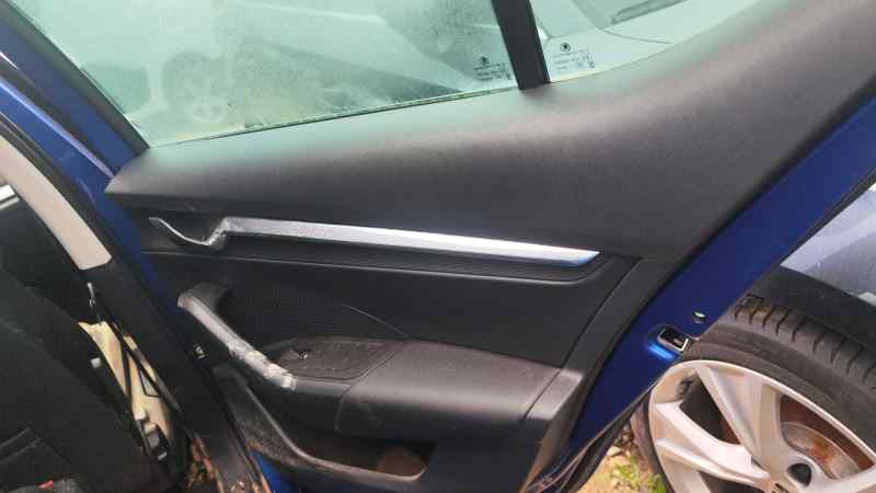 GUARNECIDO PUERTA TRASERA DERECHA