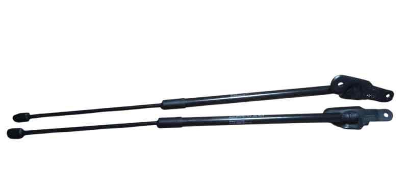 AMORTIGUADORES MALETERO - PORTON