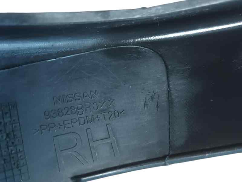 ALETIN TRASERO DERECHO