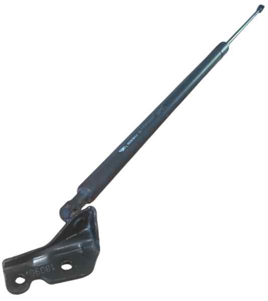 AMORTIGUADORES MALETERO PORTON RENAULT GRAND SCENIC III foto 3